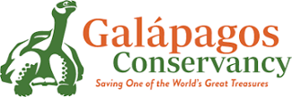 gc-logo gc-logo