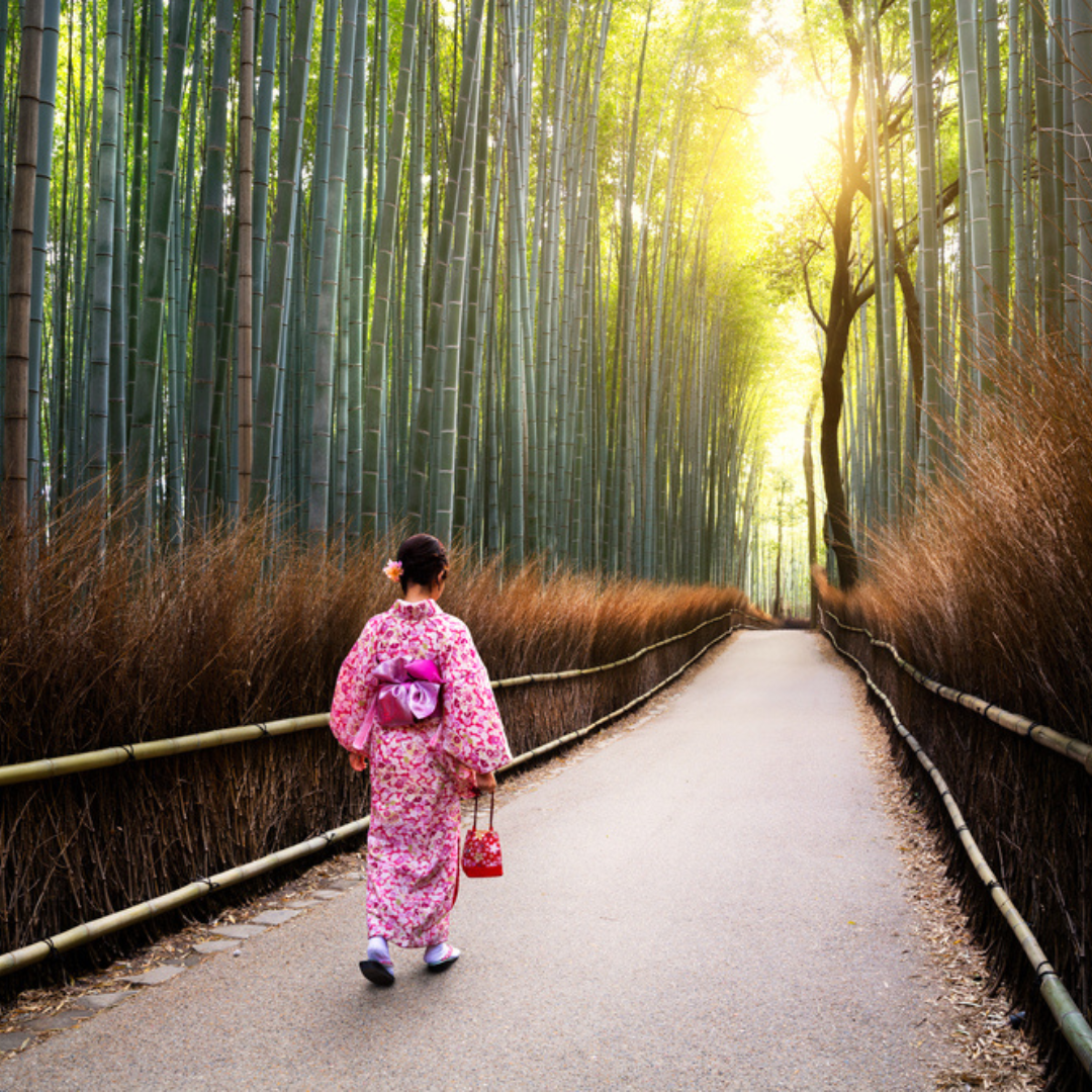 Join-Japan-trips-MT-Sobek Join-Japan-trips-MT-Sobek